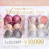 【8/23(日)まで】Feliture極ふわブラ Anniversary Box【+1無料プレゼント対象外】