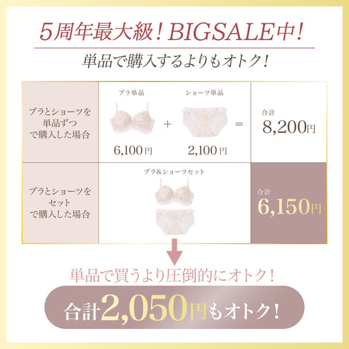 【BIGSALE】【新発売】くぎづけ谷間ブラ ミラージュブーケ -ブラ&ショーツセット-