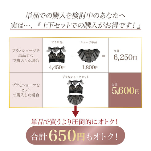 【新発売】Feliture極ふわブラ ドットチュールリボン -ブラ単品-