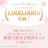 【8/23(日)まで】Feliture極ふわブラ Anniversary Box【+1無料プレゼント対象外】