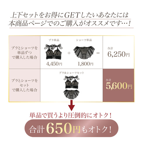 Feliture極ふわブラ ドットチュールリボン -ブラ&ショーツセット-