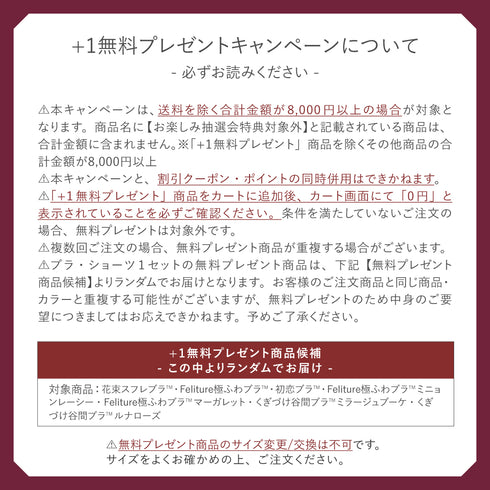 【お楽しみ抽選会A賞】ベストランジェリー+1無料プレゼント