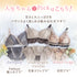 殿堂入りBest Set 3セット