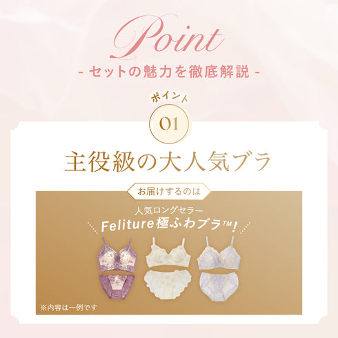 【8/23(日)まで】Feliture極ふわブラ Anniversary Box【+1無料プレゼント対象外】