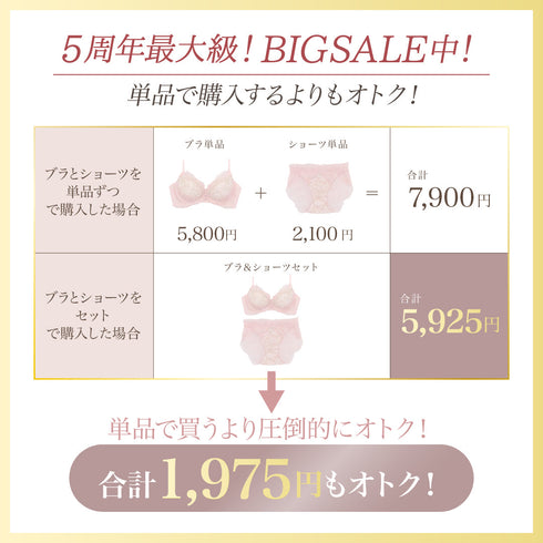 【BIGSALE】【新発売】くぎづけ谷間ブラ ルナローズ -ブラ&ショーツセット-