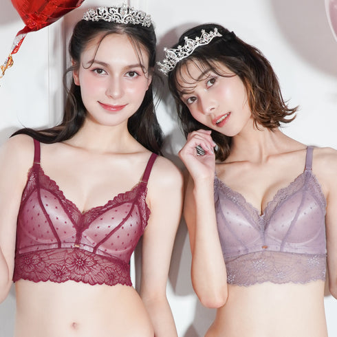 24H Set -Feliture極ふわブラ ミニョンレーシー