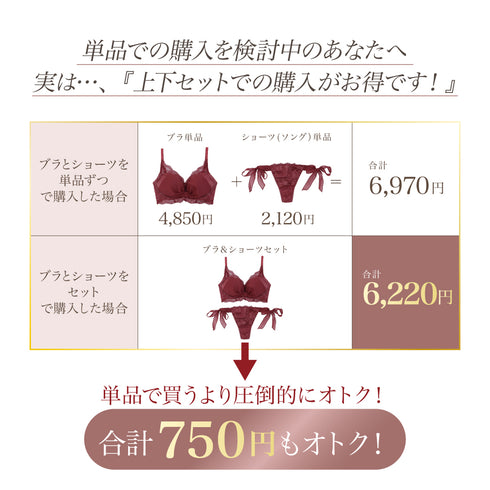 【新発売】Feliture極ふわブラ シフォンビッグリボン -ショーツ ソング単品-