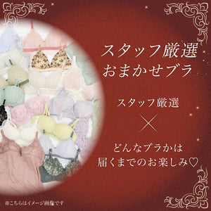 【9/15までの限定価格！】【秋限定】Autumn Happy Bag