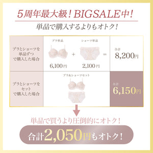 【BIGSALE】【新発売】くぎづけ谷間ブラ  ミラージュブーケ -ブラ＆ショーツセット-