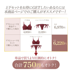 【新発売】Feliture極ふわブラ シフォンビッグリボン -ブラ＆ショーツセット-