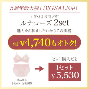 【BIGSALE】【新発売】くぎづけ谷間ブラ  ルナローズ -ブラ＆ショーツセット- 2set