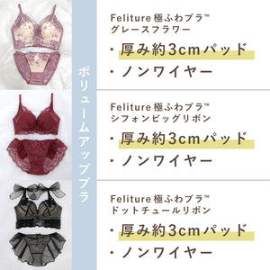 【Instagram限定】極ふわブラComplete Set -3set-【+1無料プレゼント対象外】