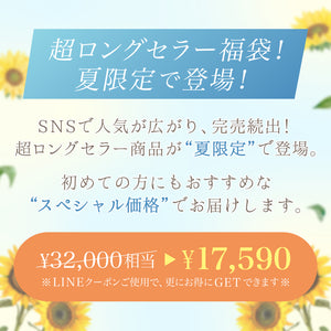 【夏限定】Summer Happy Bag