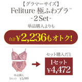 【SALE】【グラマーサイズ】Feliture極ふわブラ -Leafブラ＆ショーツセット- x2Color Set　【Pink xBlue】