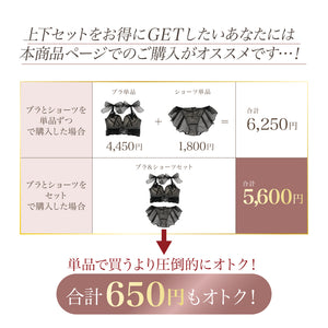 Feliture極ふわブラ ドットチュールリボン -ブラ＆ショーツセット-