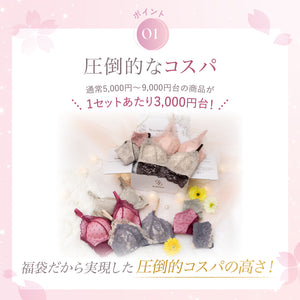 【価格崩壊セール】Spring Happy Bag -5set-