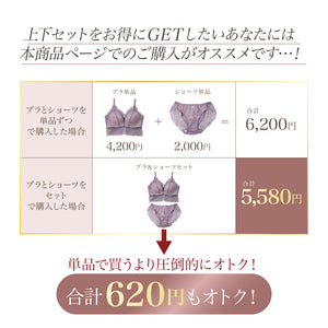 【新色発売】Feliture極ふわブラ   ミニョンレーシー -ブラ＆ショーツセット-