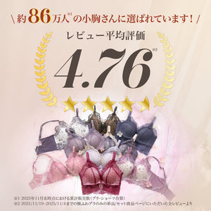 【新色発売】Feliture極ふわブラ  ミニョンレーシー -ブラ＆ショーツセット- 3set