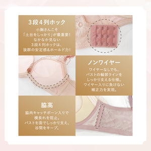 【8/23(日)まで】Feliture極ふわブラ Anniversary Box【＋1無料プレゼント対象外】