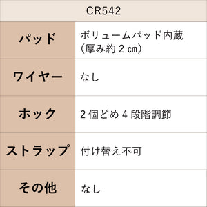 【新作】シルキークラシカルレースブラセット