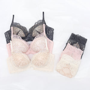 【BIGSALE】【新発売】くぎづけ谷間ブラ  ルナローズ -ブラ＆ショーツセット- 2set