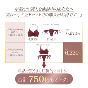 【新発売】Feliture極ふわブラ シフォンビッグリボン -ブラ単品-