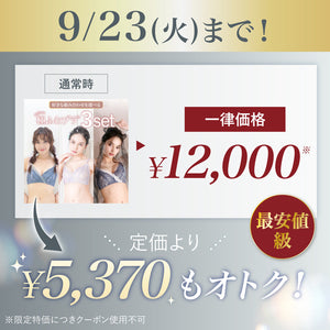 【一律SALE】Feliture極ふわブラ -ブラ＆ショーツセット- 3set