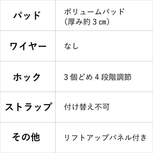 【BIGSALE】【新発売】くぎづけ谷間ブラ  ルナローズ -ブラ＆ショーツセット- 2set